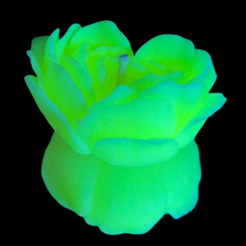 Cвiчка люмінісцентна низькотемпературна GlowKink салатова
