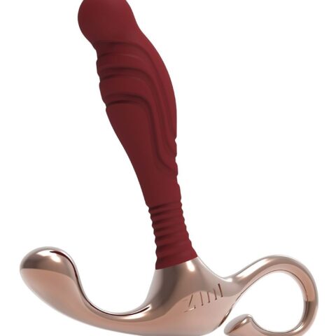 Масажер простати рельєфний, S, Zini Janus Lamp Iron бордовий, 10.4 х 2.2 см