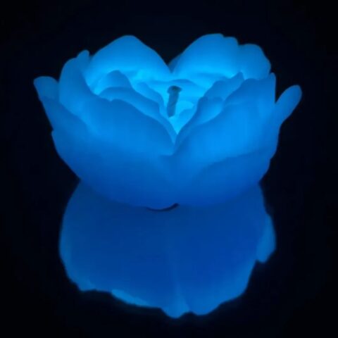 Низькотемпературна БДСМ-свічка у формі троянди GlowKink, люмінесцентна, L, 62 г, блакитна